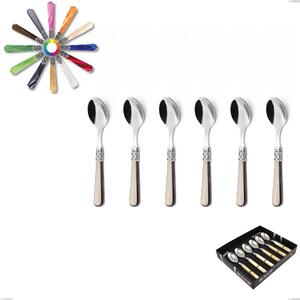 Geneva 6-piece coffee spoon display pack, (18.10 aisi304 stainless steel), methacrylate handle: Geneva cutlery set 6 pieces