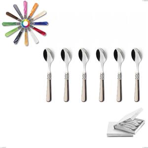 Geneva 6-Piece Coffee Spoon Gift Box, (18.10 aisi304 Stainless Steel), Methacrylate Handle Named: Geneva