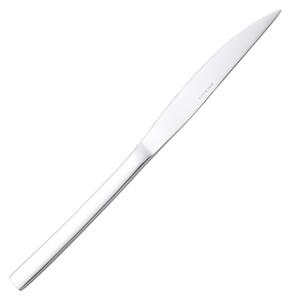 JOY Table Knife in 18.10 AISI430 Steel, 2 mm Thickness, 237 mm Length, Polished Steel Handle, Dishwasher Safe