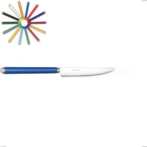 Steak Knife Line, Polished 18/10 Stainless Steel (AISI304), Acrylic Handles, Length 227 mm, Linea