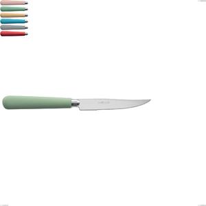 Steak Knife Macarons, 18.10 Stainless Steel 222 mm Length with Polished Stainless Acrylic Handles