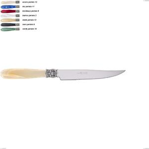 Mona Lisa Steak Knife, Polished 18/10 AISI 304 Stainless Steel with Pearlescent Acrylic Handle, Length 221 mm