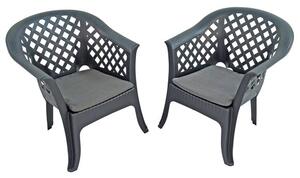 Savona Set of 2 Anthracite Chairs
