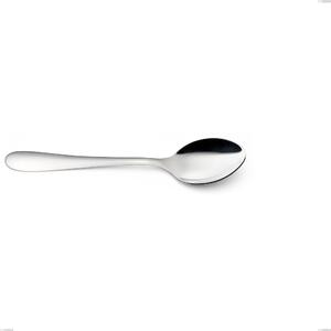 SEGNO Table Spoon in 18.10 AISI430 Stainless Steel - Length 204 mm with Polished Steel Handle Dishwasher Safe