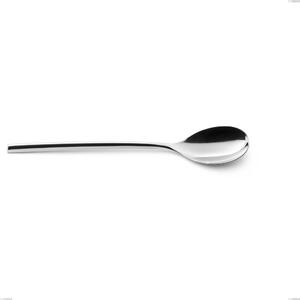 Vanity Serving Spoon, Stainless Steel 18/10 (AISI304), Forged Length 243 mm, Thickness 8 mm Forged