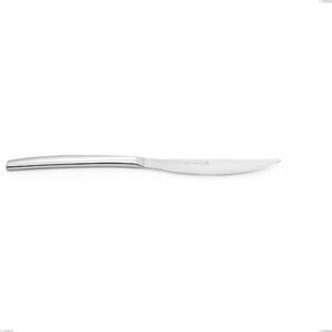 VANITY Table Knife in 18.10 AISI430 Steel, 8 mm Thickness, 246 mm Length, Polished Steel Handle, Dishwasher Safe