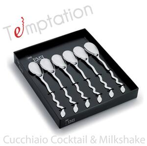 Stainless Steel Spoon Set 6 Pieces 204 mm DrinkMilk Temptation