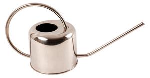 Fallen Fruits Large Stainless Steel Watering Can