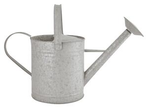 Fallen Fruits 8.7 Litre Old Zinc Watering Can