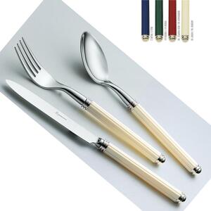 Phanteon Colourful Cutlery Set 4 Pieces: 1 Knife, 1 Fork, 1 Spoon, 1 Coffee Spoon in 18/10 Stainless Steel