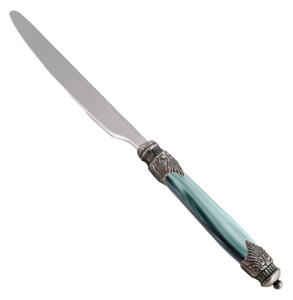 Arianna Table Knife Set of 6 Pieces in 18.10 Steel Length 24 cm with Plexiglas Handle and Antique Ring Dishwasher Safe Green