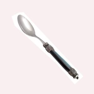 ARIANNA 6 Piece Tablespoon Set in 18.10 Steel with Plexiglass Handle and Antique Ring, Dishwasher Safe, Green Length 22.5 cm