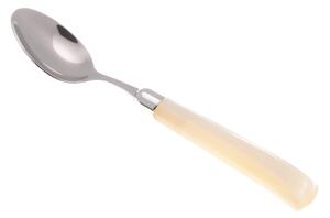GIADA Coffee Spoon Set of 6 Pieces in 18.10 Steel Length 16.5 cm Handle in Plexiglass with Dishwasher Safe Ivory Ring