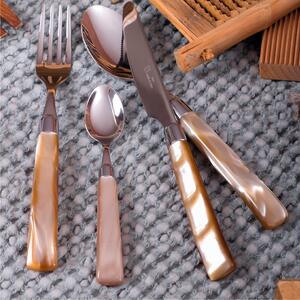 GIADA 24 Piece Cutlery Set in 18/10 Stainless Steel with 2.5 mm Thick Champagne Coloured Methacrylate Handle