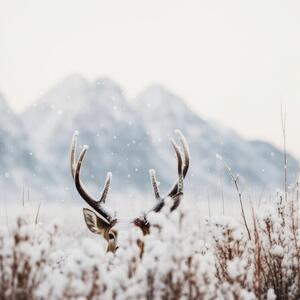 Photography Shy Deer, Treechild