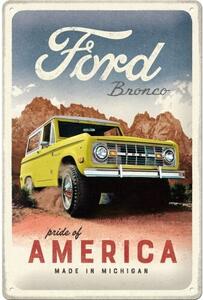 Metal sign Ford - Bronco - Pride of America, (20 x 30 cm)