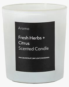 Aura Scented Candle in Fresh Herbs & Citrus - Medium