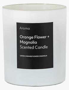 Aura Scented Candle in Orange Flower & Magnolia - Large
