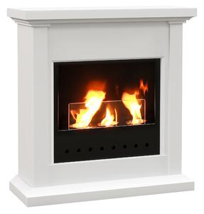HOMCOM Gel and Ethanol Fireplace Stove, Modern Bioethanol Fire, Indoor Ethanol Burner with 1.2 Litres (39oz) Volume, 26 Inch, White Aosom UK