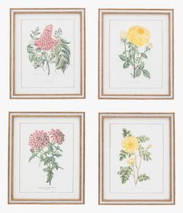 Floral Symphony Framed Wall Art, Set of 4