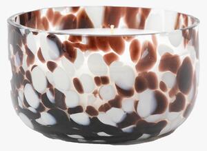 Illume Candle in Peony and Musk, Medium