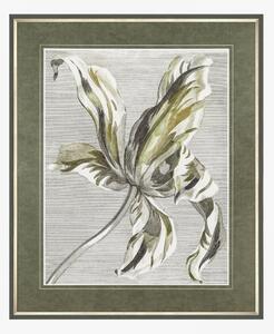Tulip Illustration Framed Wall Art