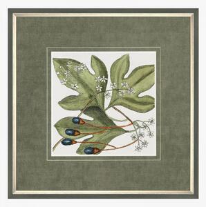 Leaf Illustration Framed Wall Art