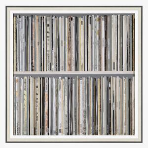 Vinyl Shelf Framed Wall Art