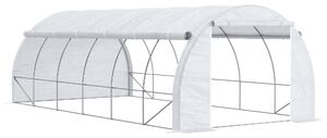 Outsunny 6 x 3 x 2 m Polytunnel Greenhouse, Walk in Pollytunnel Tent w/ Steel Frame, Reinforced Cover, Zippered Door & 8 Windows for Garden Aosom UK