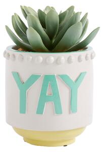 Pride & Joy Yay Succulent Pot White
