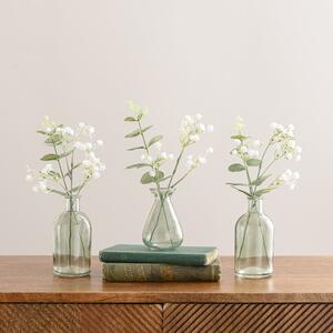 Set of 3 Vases with Eucalyptus and Gypsophila Clear