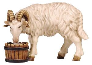 Ram with bucket for Nativity scene - Homeland