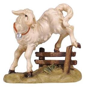 Lamb jumping for Nativity scene - Homeland