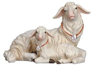 Sheep lying with lamb for Nativity scene - Homeland