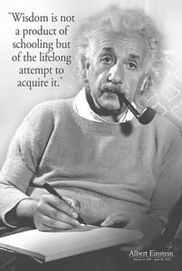 Poster Einstein - Wisdom