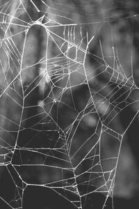Photography Monochrome Web, Gary Rundle, (26.7 x 40 cm)