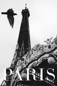 Photography Paris Dove, Rikard Martin, (26.7 x 40 cm)