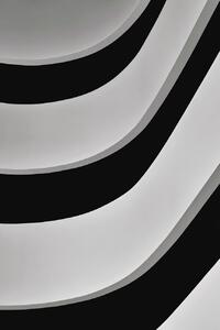 Photography Stripes, Branko Markovic, (26.7 x 40 cm)