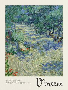 Fine Art Print Olive Orchard - Vincent van Gogh, (30 x 40 cm)