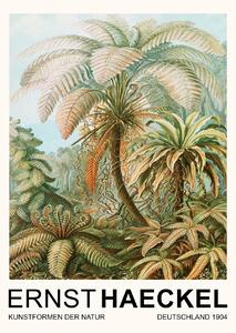 Fine Art Print Filicinae–Laubfarne / Rainforest Trees (Vintage Academia) - Ernst Haeckel, (30 x 40 cm)