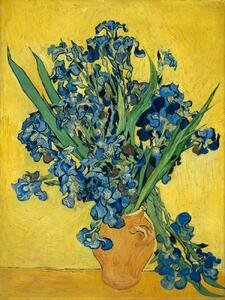 Fine Art Print Irises (Vintage Flowers) - Vincent van Gogh, (30 x 40 cm)