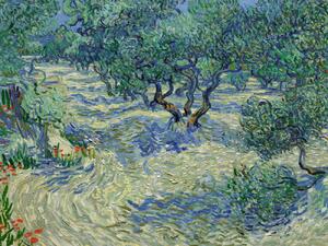 Fine Art Print Olive Orchard - Vincent van Gogh, (40 x 30 cm)