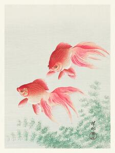 Fine Art Print Two Veil Goldfish (Japandi Vintage) - Ohara Koson, (30 x 40 cm)