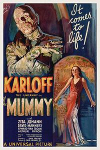 Fine Art Print The Mummy (Vintage Cinema / Retro Movie Theatre Poster / Horror & Sci-Fi), (26.7 x 40 cm)