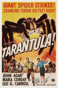 Fine Art Print Tarantula (Vintage Cinema / Retro Movie Theatre Poster / Horror & Sci-Fi), (26.7 x 40 cm)