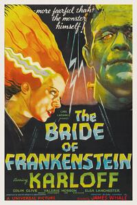 Fine Art Print The Bride of Frankenstein (Vintage Cinema / Retro Movie Theatre Poster / Horror & Sci-Fi), (26.7 x 40 cm)