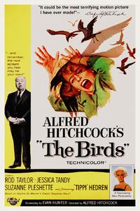 Fine Art Print The Birds / Alfred Hitchcock / Tippi Hedren (Retro Movie), (26.7 x 40 cm)