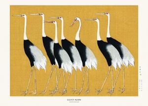 Studio Collection - Fine Art Print Japanese Red Crown Crane, (40 x 30 cm)