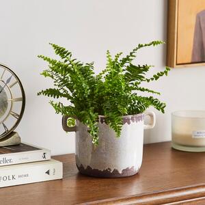 Churchgate Ceramic Plant Pot