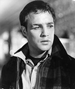 Photography Marlon Brando In 'On The Waterfront', Archive Photos